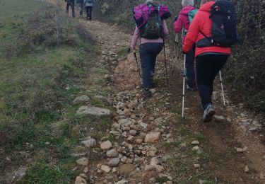 Tocht Stappen Saint-Sylvestre - Saint Sylvestre - Photo