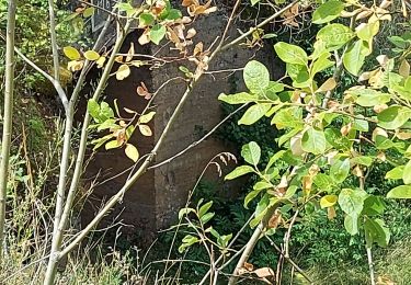 Trail Walking Differdange - giele botter - Photo