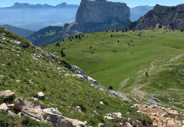 Percorso Marcia Gresse-en-Vercors - Grand Veymont - Photo