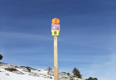 Tocht Sneeuwschoenen Aillon-le-Jeune - GNB Bauges - Margeriaz  - Photo