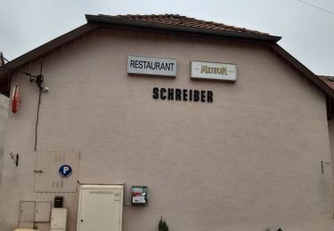 Randonnée Marche Dabo - boucle D'abord Haselbourg - Photo