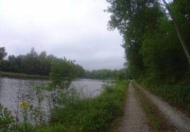 Excursión Bici de montaña Charleroi - ransart spy 2 - Photo