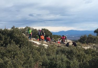 Excursión Senderismo Rians - Montagne de Vautubière - Photo