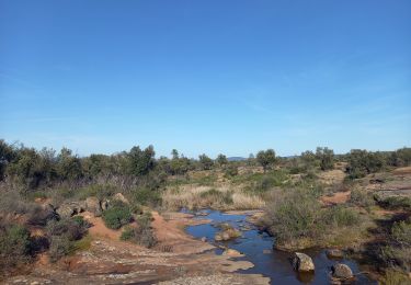 Trail Walking Le Cannet-des-Maures - Lac des Escarcets 17.2.24  - Photo