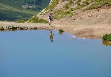 Tocht Te voet Ponte di Legno - (SI C01) Rifugio Montozzo “Angelo Bozzi” - Forcellina del Montozzo - Malga di Pian Palù - Malga Giumela - Val Taviela - Covel - Pejo - Photo