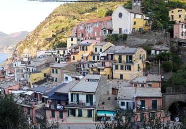 Tour Wandern Vernazza - Rando cinq Terre 4ème jour Vernazza-Riomaggiore - Photo