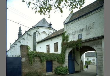 Tocht Te voet Borgloon - Mariënlof Rode pijl - Photo