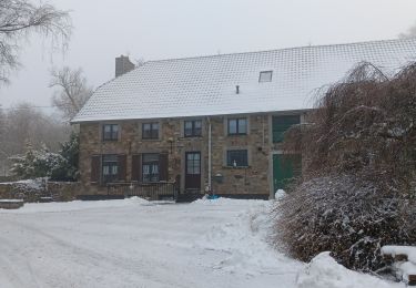Trail Walking Spa - berinzenne entre fagne et bois dans le brouillard - Photo