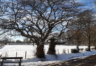 Tour Wandern Theux - le huit de Becco - Photo