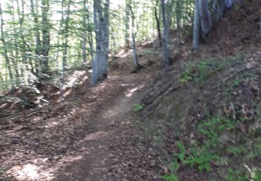 Trail Walking Nozières - Nozière col du buisson Raymonde - Photo