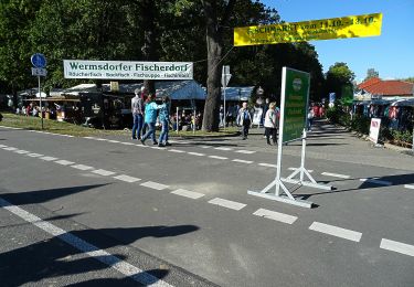 Tocht Te voet Wermsdorf - Wanderung nach Mutzschen - Photo