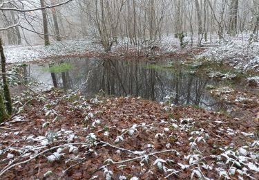 Trail Walking Bouilly - Balade dans les bois - Photo