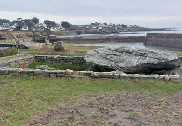 Tocht Stappen Saint-Gildas-de-Rhuys - PR_56_St-Gildas-Rhuys_AA_01_Le-Grand-Mont_Circuit1b_20231111 - Photo