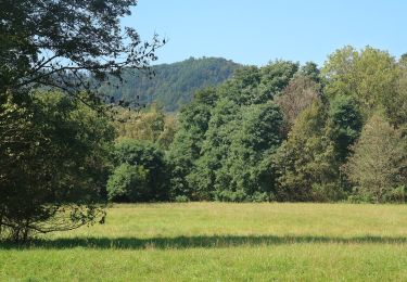 Tocht Te voet Leibnitz - Leibnitzer-Genussplatzrunde - Photo