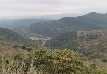 Trail Walking Labastide-en-Val - Labastide en val- Plateau Lacamp - Photo