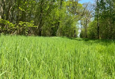 Tocht Stappen Florennes - Balade Morville 2 - Photo