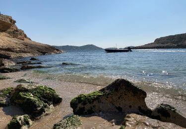 Excursión Senderismo Marsella - La calanque de Marseilleveyre depuis Callelongue - Photo