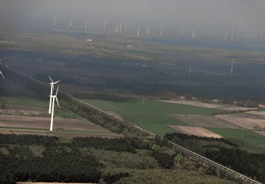 Randonnée A pied Niederlangen - Wanderweg Lathen Fresenburg Melstrup Ströhn 19 - Photo