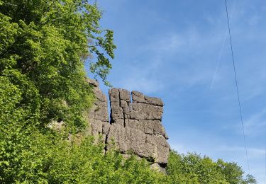 Excursión Senderismo Durbuy - Heyd - Photo