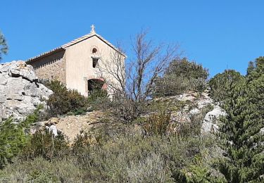 Excursión Senderismo Opoul-Périllos - perillos - Photo