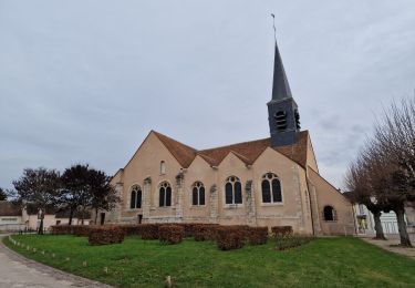 Trail Walking Amilly - Amilly 45 parcours bleu - Photo