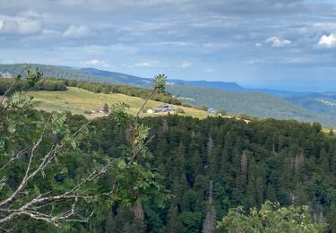 Tour Wandern Xonrupt-Longemer - Jardin d’altitude du haut Chita let - Trois fours - Photo