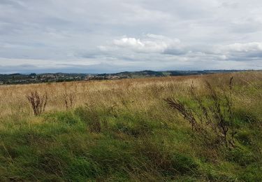 Tour Wandern Périgneux - Boucle Périgneux - Photo