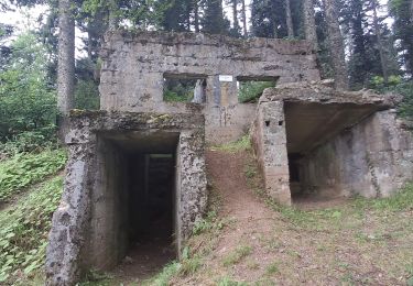 Tour Wandern Markirch - Col SMAM  - Photo