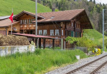 Tocht Te voet Därstetten - Weissenburg - Beret - fixme - Photo