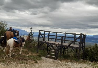 Percorso Equitazione Groslée-Saint-Benoit - la montagne de st Benoit par la piquette et retour par farou - Photo