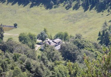 Percorso A piedi Tremosine sul Garda - Vesio - Passo Nota - Photo