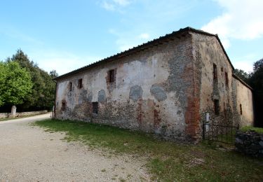 Tour Zu Fuß Monteriggioni - IT-103 - Photo