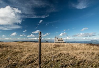 Randonnée A pied Kirchzarten - Kirchzarten - Feldberg - Photo