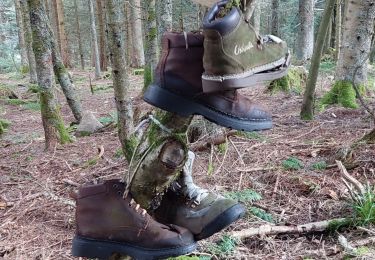 Trail Walking Stosswihr - gaschney-grotte Dagobert - Photo