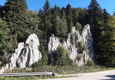Trail Walking Les Alliés - GTJ jour 7 - Photo