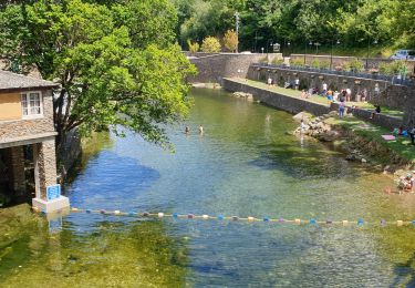 Tocht Stappen Les Plantiers - les plantiers, abbaye de Fontfouillouse  - Photo