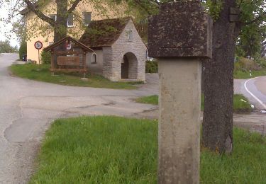 Tocht Te voet Horb am Neckar - DE-Hinterriedhütte - Käppele - Photo