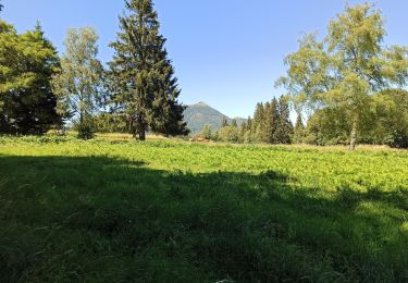 Tour Mountainbike Chanonat - Varennes Lachamp - Photo