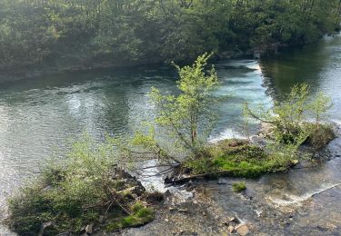 Tocht Stappen Malons-et-Elze - MALONS Besseges  - Photo