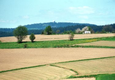 Percorso A piedi Schauenstein - Handweber-Weg OS 24 - Photo