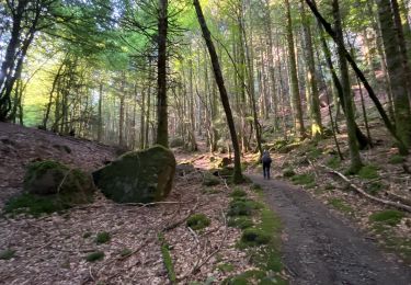 Percorso A piedi Le Falgoux - Monts du Cantal 3 - Le Falgoux à Mandailles - Photo