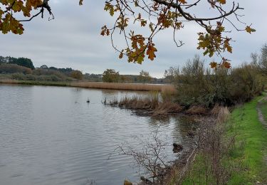 Trail Walking La Trinité-sur-Mer - PR_56_La-Trinite-Sur-Mer_AA_01_Circuit1b_Les-Marais_20221211 - Photo