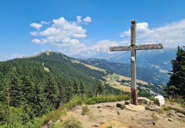 Tour Wandern Villard-sur-Doron - La Croix de Coste depuis le hameau du Beaufortain - Photo