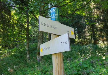 Trail Walking La Pesse - fin cret de chalam 11 07 2025 - Photo