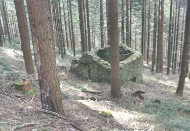 Randonnée Marche Cans et Cévennes - Le Mazel de Mort - Photo