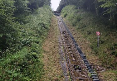 Randonnée Marche nordique Mont-Dore - Les Medecins - Photo