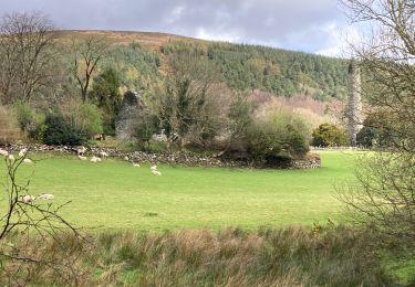 Percorso Marcia The Municipal District of Wicklow - Glendalough  - Photo