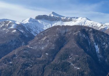 Excursión Senderismo Saint-Étienne-de-Tinée - Pas de Barbacane hiver - Photo