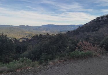 Trail Walking Saint-Savournin - St Savourin Col Ste Anne - Photo