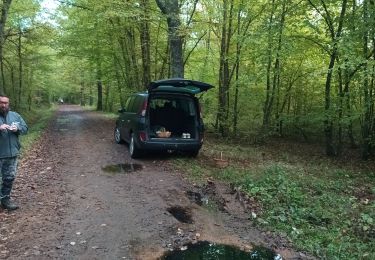 Randonnée Autre activité Bort-l'Étang - trompette bouru - Photo